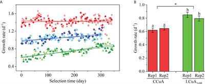 Long-term adaptive response of an oceanic diatom to copper deficiency